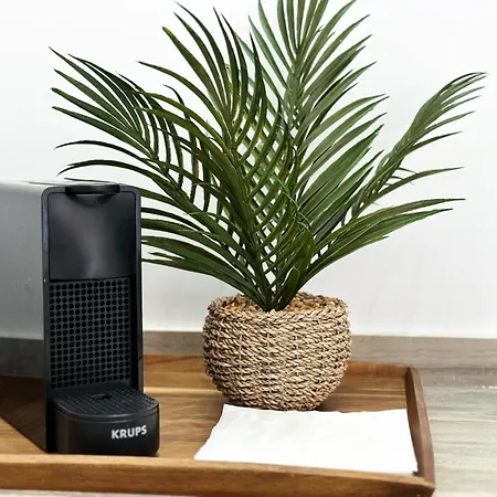 In Private Urbanization Next To The Sea